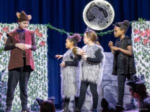 Bagheera, Wolves and Baloo meet on Council Rock - Drama Collective - Lewes - February 2026