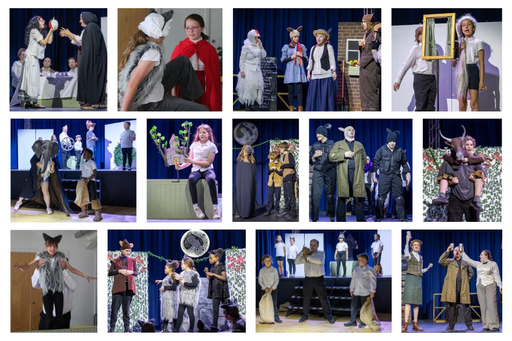 Photo collage of Drama Collective 2026 productions to celebrate members and thank audience members